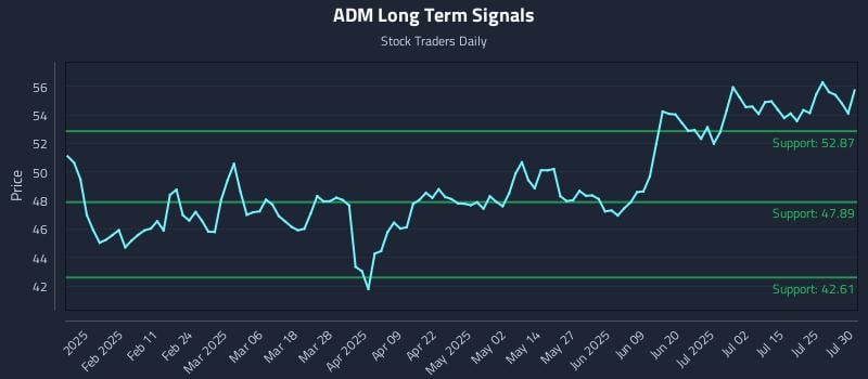 ADM Long Term Analysis for July 30 2025
