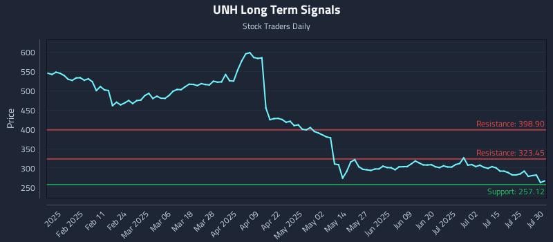 UNH Long Term Analysis for July 30 2025