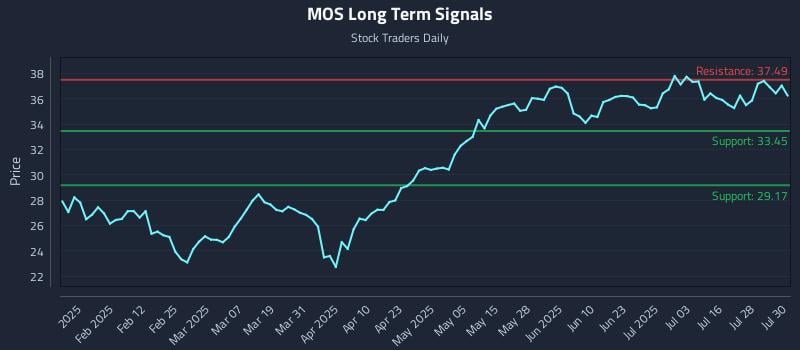 MOS Long Term Analysis for July 31 2025 MOS Long Term Analysis for July 31 2025