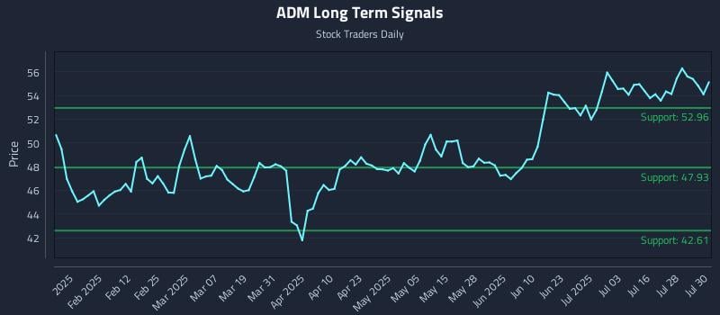 ADM Long Term Analysis for July 31 2025 ADM Long Term Analysis for July 31 2025
