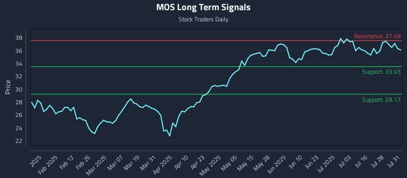 MOS Long Term Analysis for July 31 2025