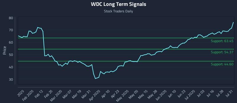 WDC Long Term Analysis for July 31 2025 WDC Long Term Analysis for July 31 2025