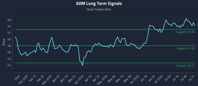 ADM Long Term Analysis for July 31 2025 ADM Long Term Analysis for July 31 2025