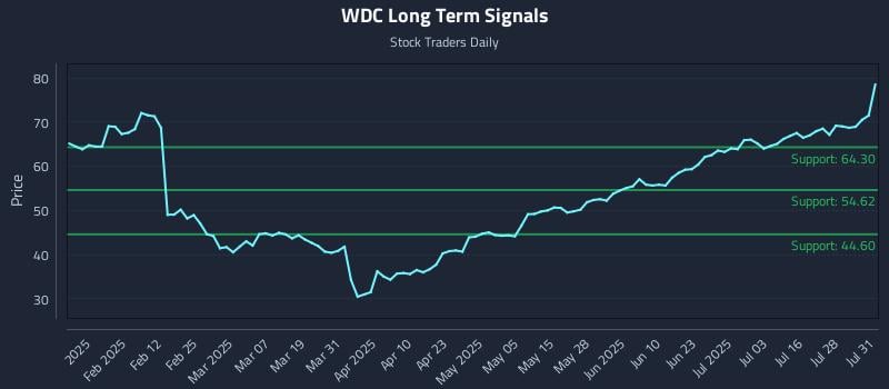WDC Long Term Analysis for July 31 2025
