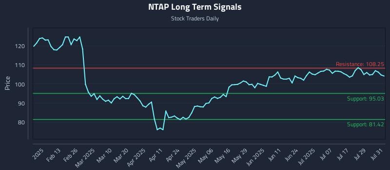 NTAP Long Term Analysis for August 1 2025