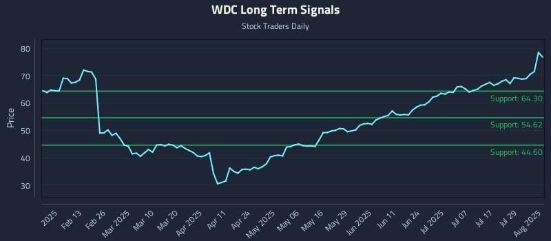 WDC Long Term Analysis for August 1 2025 WDC Long Term Analysis for August 1 2025