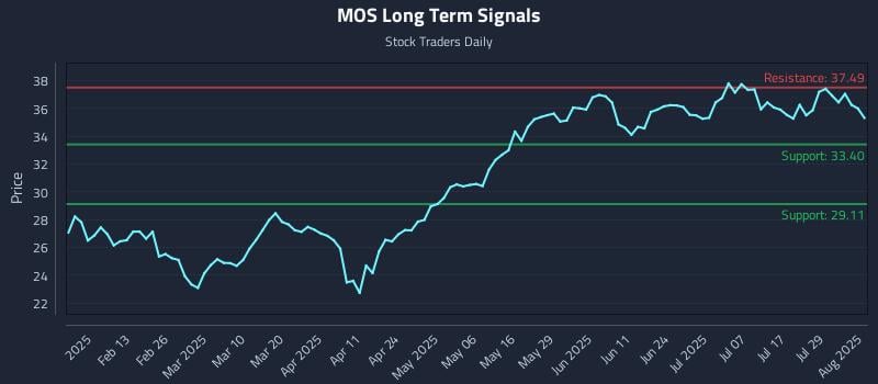 MOS Long Term Analysis for August 1 2025