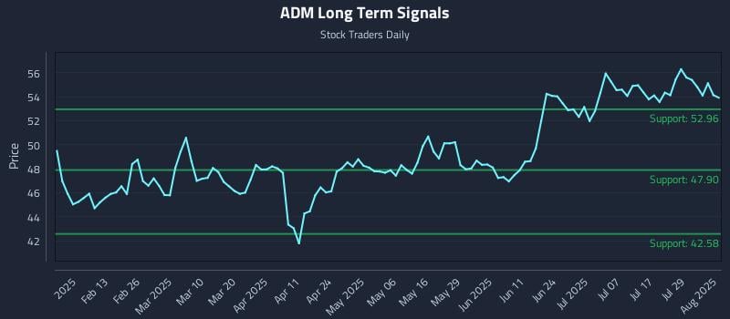 ADM Long Term Analysis for August 1 2025 ADM Long Term Analysis for August 1 2025