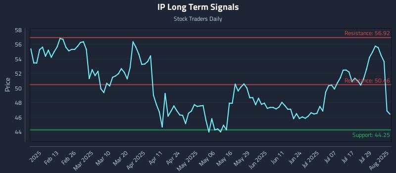 IP Long Term Analysis for August 1 2025