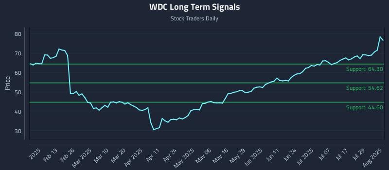 WDC Long Term Analysis for August 2 2025 WDC Long Term Analysis for August 2 2025