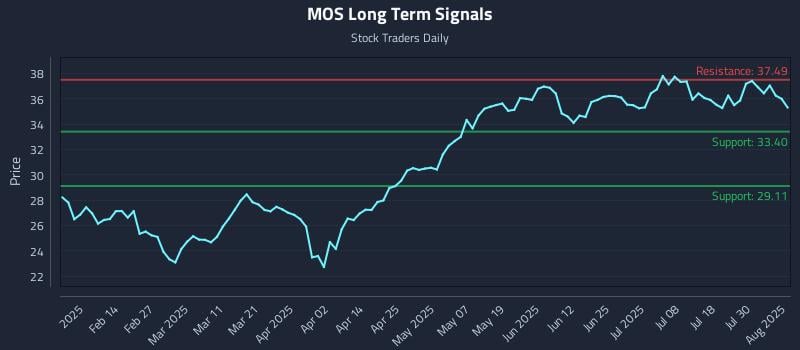 MOS Long Term Analysis for August 4 2025