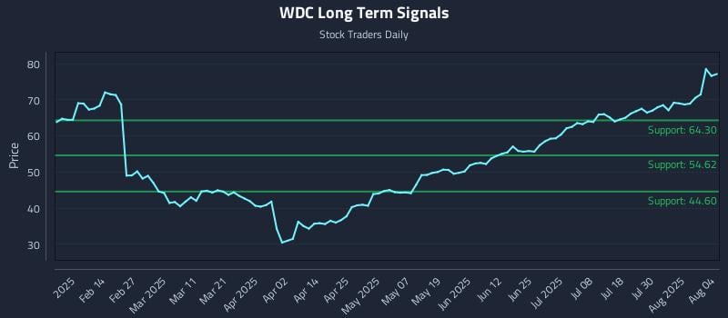 WDC Long Term Analysis for August 4 2025