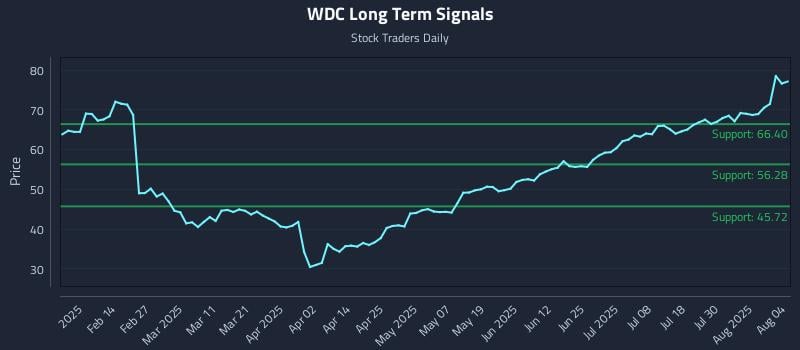 WDC Long Term Analysis for August 4 2025