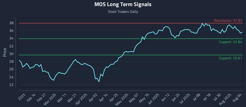 MOS Long Term Analysis for August 4 2025