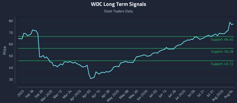 WDC Long Term Analysis for August 5 2025 WDC Long Term Analysis for August 5 2025