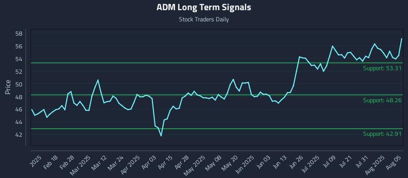 ADM Long Term Analysis for August 5 2025 ADM Long Term Analysis for August 5 2025