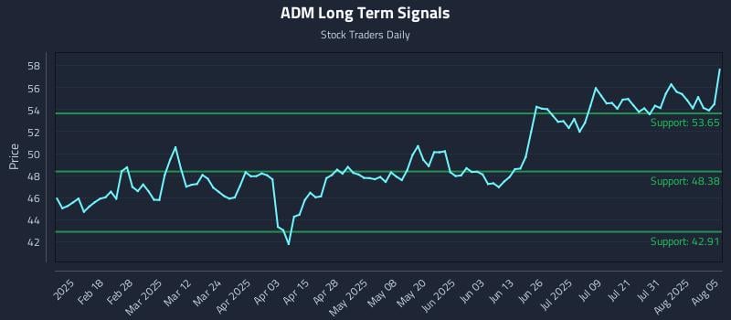 ADM Long Term Analysis for August 5 2025 ADM Long Term Analysis for August 5 2025