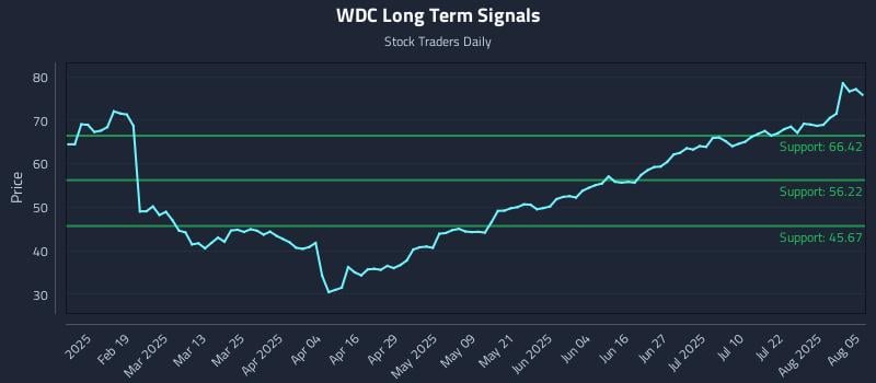 WDC Long Term Analysis for August 6 2025