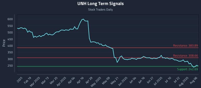UNH Long Term Analysis for August 6 2025