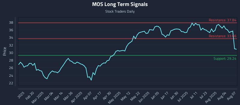 MOS Long Term Analysis for August 7 2025