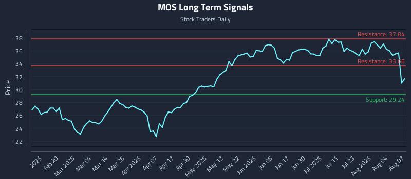 MOS Long Term Analysis for August 7 2025