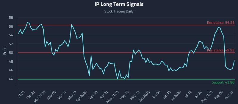 IP Long Term Analysis for August 8 2025