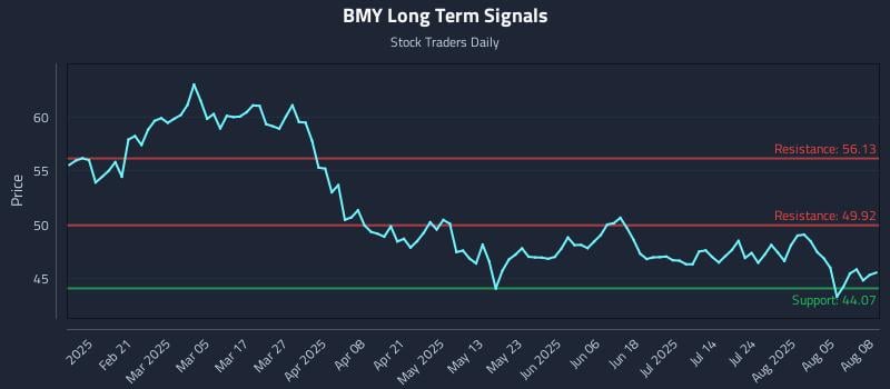 BMY Long Term Analysis for August 8 2025