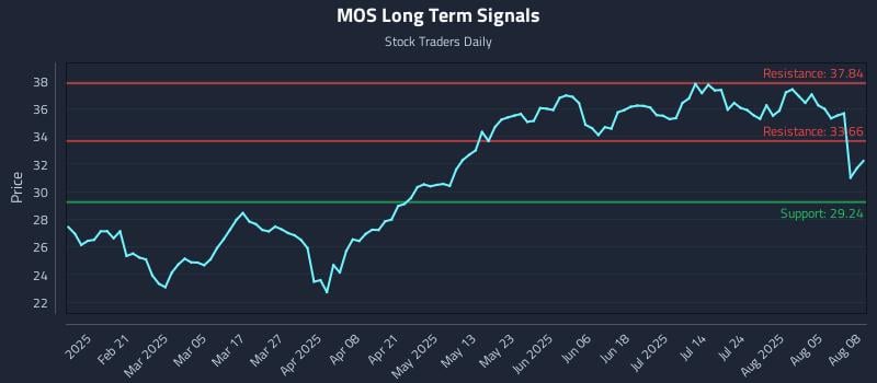 MOS Long Term Analysis for August 8 2025