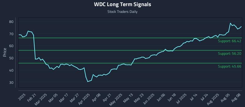 WDC Long Term Analysis for August 8 2025