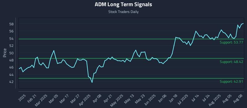 ADM Long Term Analysis for August 8 2025