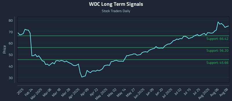WDC Long Term Analysis for August 11 2025 WDC Long Term Analysis for August 11 2025