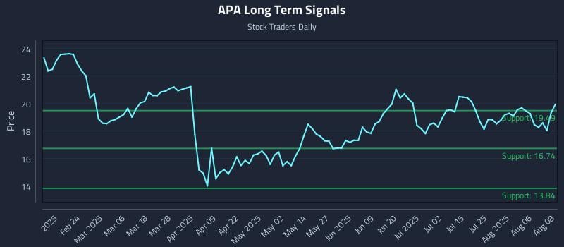 APA Long Term Analysis for August 11 2025