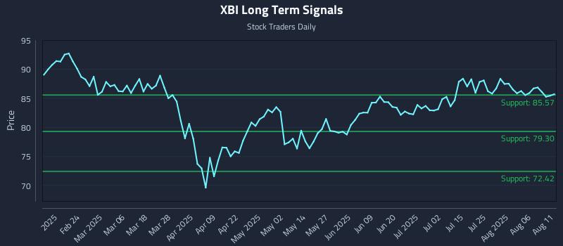 XBI Long Term Analysis for August 11 2025