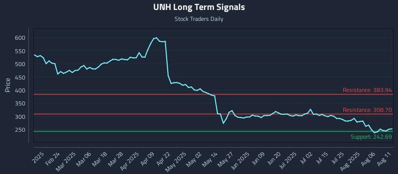 UNH Long Term Analysis for August 11 2025