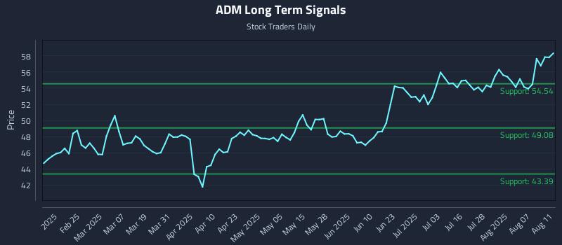 ADM Long Term Analysis for August 12 2025