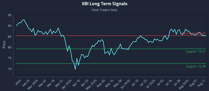 XBI Long Term Analysis for August 12 2025 XBI Long Term Analysis for August 12 2025
