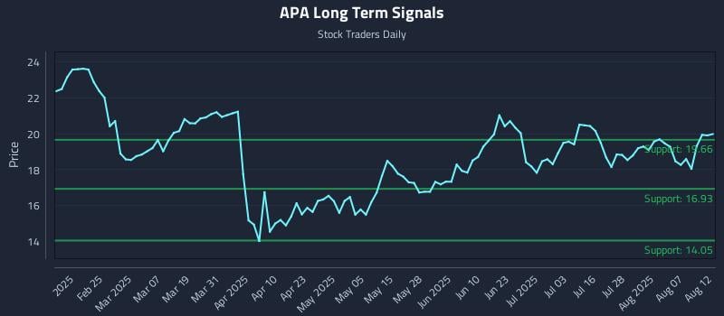 APA Long Term Analysis for August 12 2025