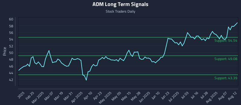 ADM Long Term Analysis for August 12 2025 ADM Long Term Analysis for August 12 2025