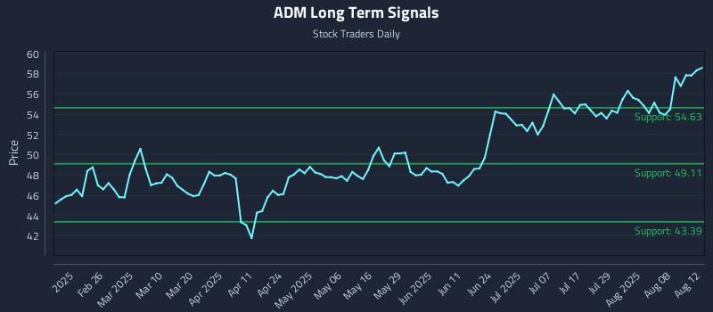 ADM Long Term Analysis for August 13 2025 ADM Long Term Analysis for August 13 2025