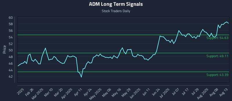 ADM Long Term Analysis for August 13 2025 ADM Long Term Analysis for August 13 2025