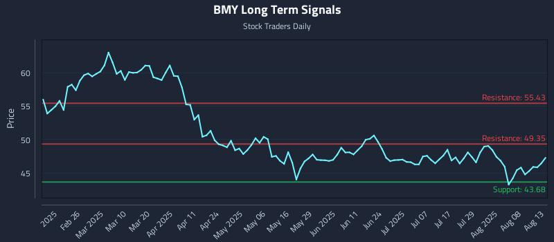 BMY Long Term Analysis for August 13 2025