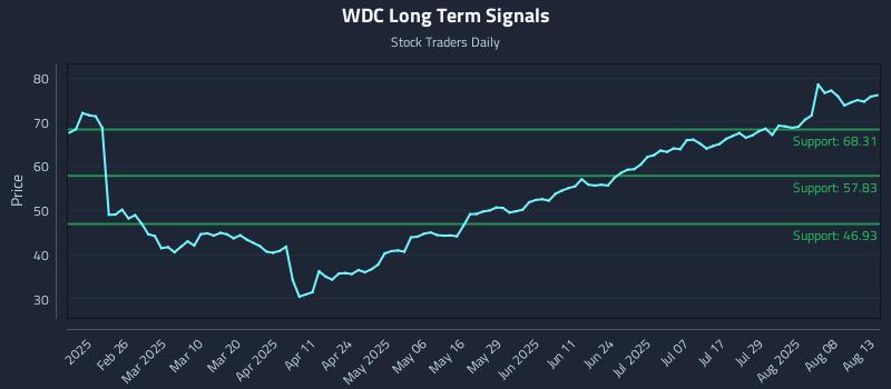 WDC Long Term Analysis for August 13 2025 WDC Long Term Analysis for August 13 2025