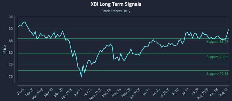 XBI Long Term Analysis for August 13 2025