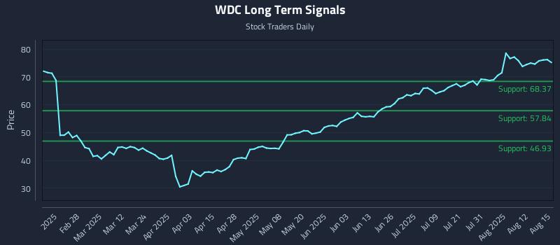 WDC Long Term Analysis for August 15 2025