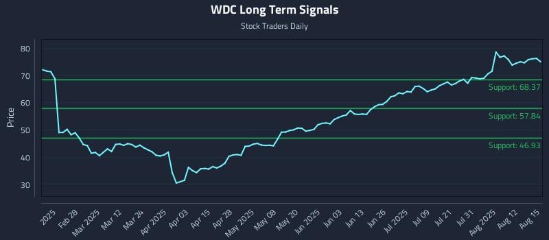 WDC Long Term Analysis for August 17 2025
