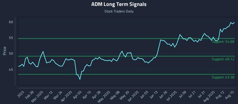 ADM Long Term Analysis for August 17 2025 ADM Long Term Analysis for August 17 2025