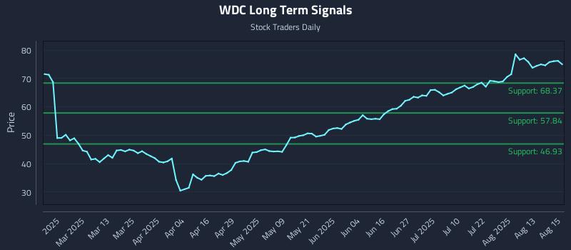 WDC Long Term Analysis for August 18 2025