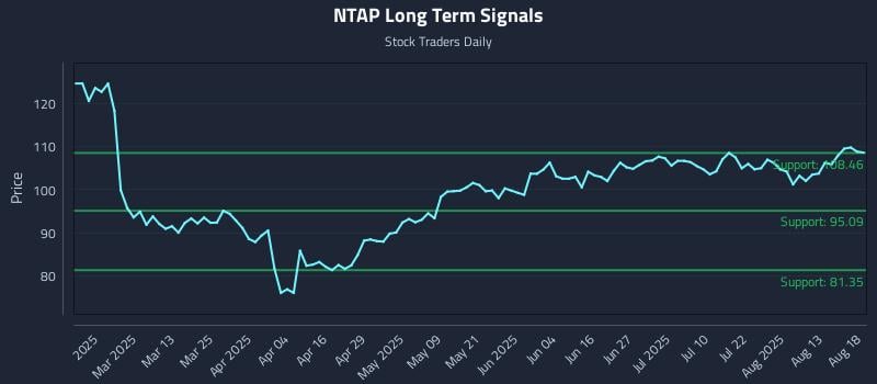 NTAP Long Term Analysis for August 18 2025