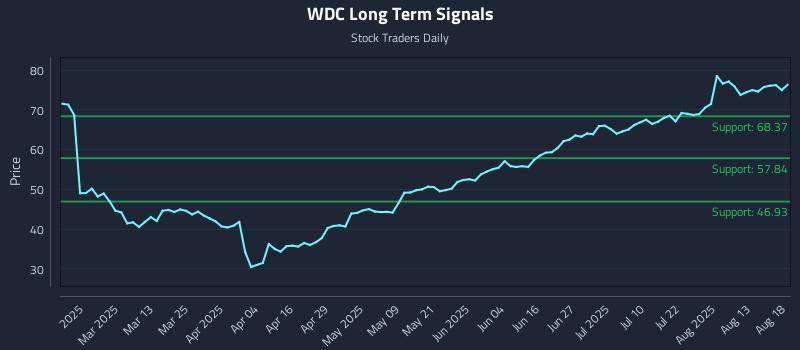 WDC Long Term Analysis for August 18 2025