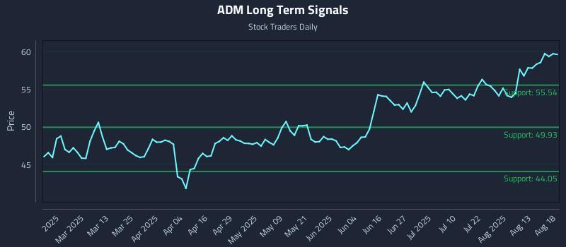 ADM Long Term Analysis for August 18 2025